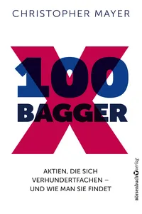 100 Bagger_cover