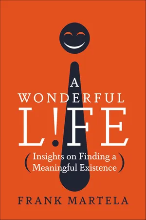 A Wonderful Life
