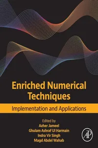 Enriched Numerical Techniques_cover