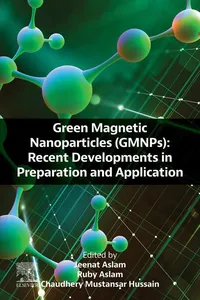 Green Magnetic Nanoparticles_cover