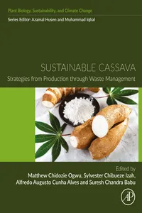 Sustainable Cassava_cover