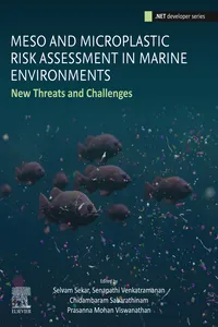 Meso and Microplastic Risk Assessment in Marine Environments_cover