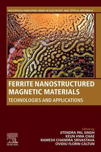 Ferrite Nanostructured Magnetic Materials_cover