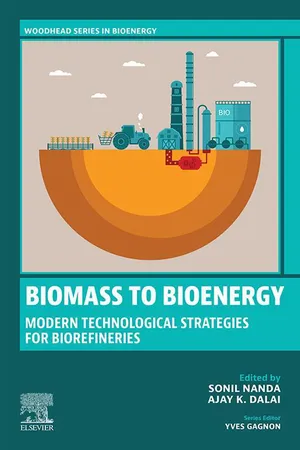 Biomass to Bioenergy