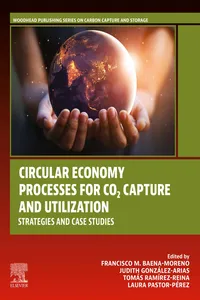 Circular Economy Processes for CO2 Capture and Utilization_cover