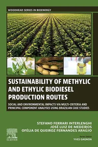 Sustainability of Methylic and Ethylic Biodiesel Production Routes_cover