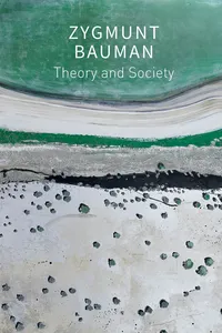 Theory and Society_cover