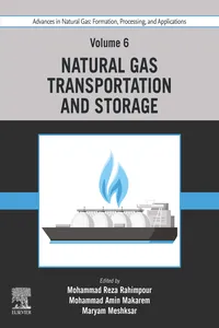 Advances in Natural Gas: Formation, Processing, and Applications. Volume 6: Natural Gas Transportation and Storage_cover