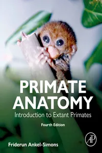 Primate Anatomy_cover