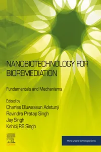 Nanobiotechnology for Bioremediation_cover