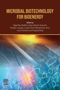 Microbial Biotechnology for Bioenergy_cover
