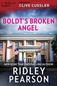 Boldt's Broken Angel_cover