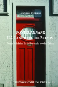 Pontecagnano II.7. La necropoli del Picentino_cover