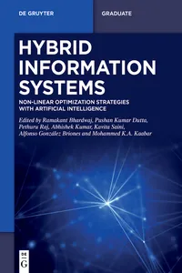 Hybrid Information Systems_cover