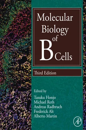Molecular Biology of B Cells
