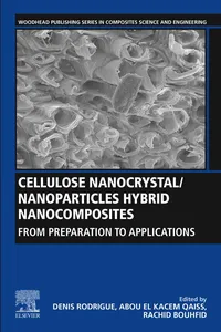 Cellulose Nanocrystal/Nanoparticles Hybrid Nanocomposites_cover