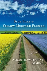 Blue Flax & Yellow Mustard Flower_cover