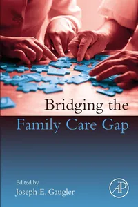 Bridging the Family Care Gap_cover