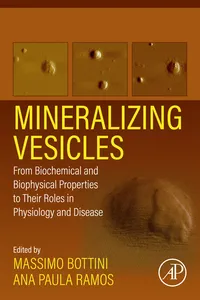 Mineralizing Vesicles_cover