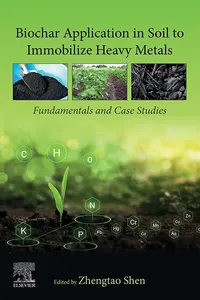 Biochar Application in Soil to Immobilize Heavy Metals_cover