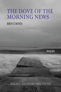 The Dove of the Morning News_cover