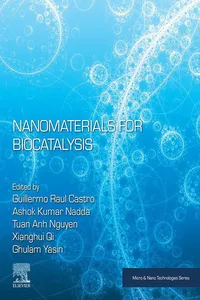 Nanomaterials for Biocatalysis_cover
