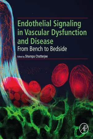 Endothelial Signaling in Vascular Dysfunction and Disease