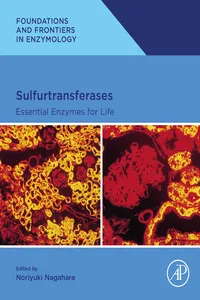 Sulfurtransferases_cover