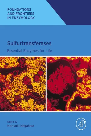 Sulfurtransferases