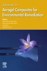 Advances in Aerogel Composites for Environmental Remediation_cover