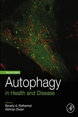 Autophagy in Health and Disease