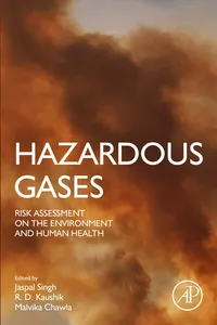 Hazardous Gases_cover