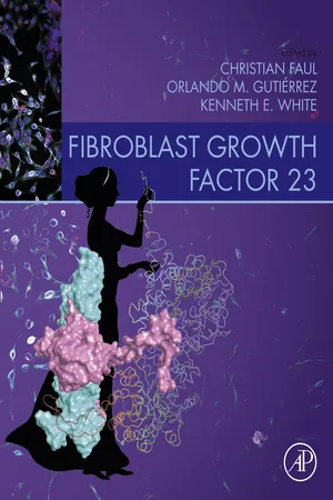 Fibroblast Growth Factor 23