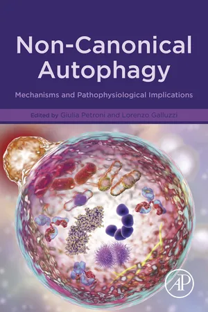 Non-Canonical Autophagy