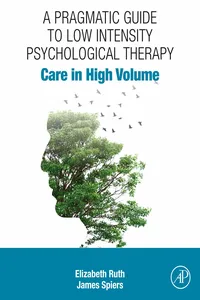 A Pragmatic Guide to Low Intensity Psychological Therapy_cover