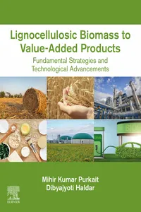 Lignocellulosic Biomass to Value-Added Products_cover