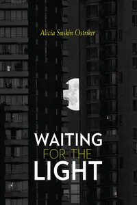 Waiting for the Light_cover