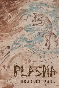 Plasma_cover