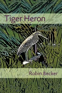 Tiger Heron_cover