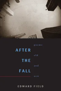 After the Fall_cover