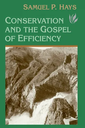 Conservation And The Gospel Of Efficiency