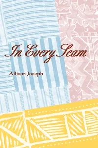 In Every Seam_cover