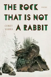 Rock That Is Not a Rabbit, The_cover