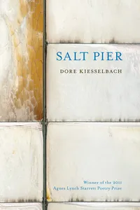 Salt Pier_cover