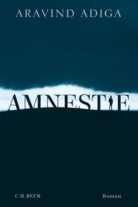 Amnestie_cover