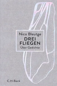 Drei Fliegen_cover