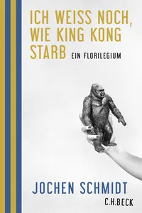 Ich weiß noch, wie King Kong starb_cover