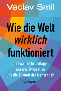 Wie die Welt wirklich funktioniert_cover