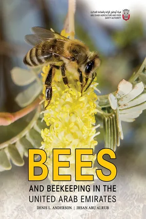 Bees and Beekeeping in the United Arab Emirates