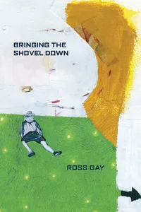 Bringing the Shovel Down_cover